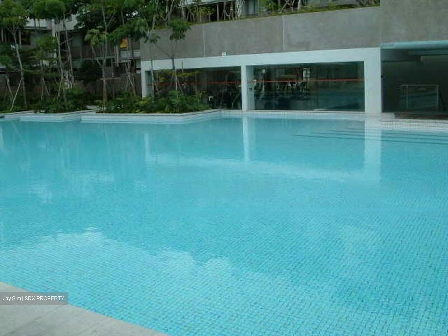 The Teneriffe (D10), Terrace #424274271